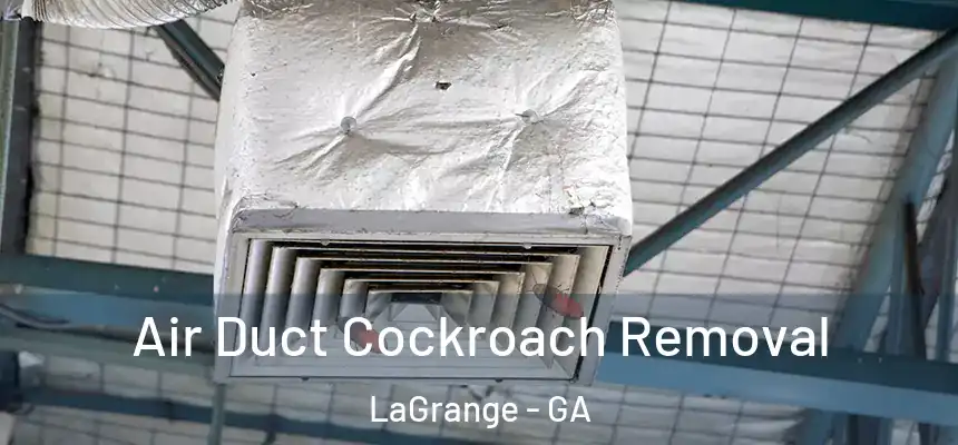 Air Duct Cockroach Removal LaGrange - GA
