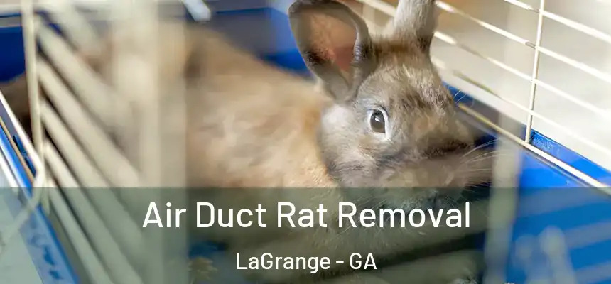 Air Duct Rat Removal LaGrange - GA