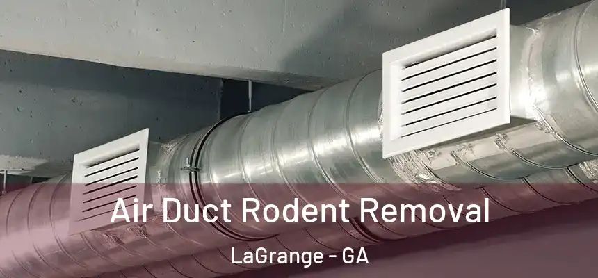 Air Duct Rodent Removal LaGrange - GA