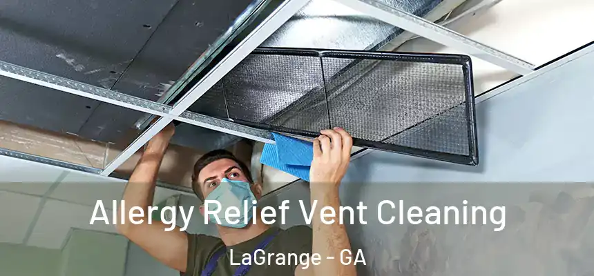 Allergy Relief Vent Cleaning LaGrange - GA