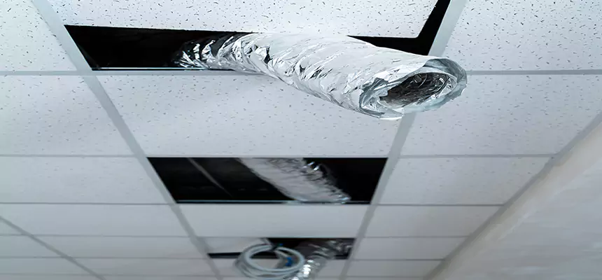 Our Air Duct Pet Hair Removal Services in LaGrange, GA