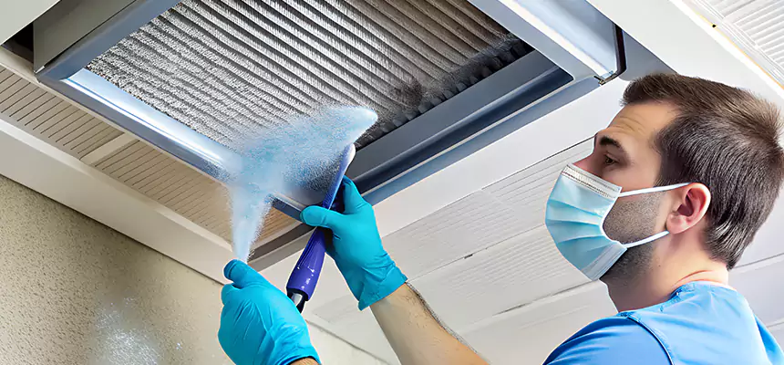 Proactive Dryer Vent & Auxiliary Duct Pollen Cleanup in LaGrange, GA