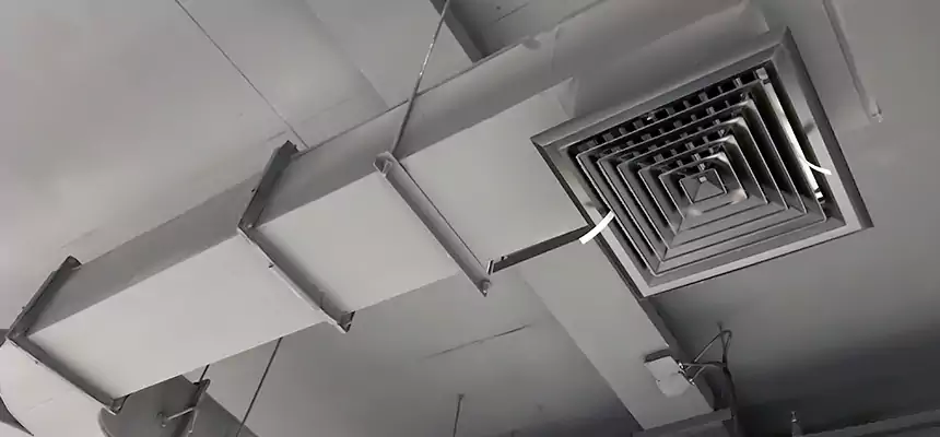 Restorative Allergy Relief Vent Cleaning – Coil, Blower & Housing Detail in LaGrange