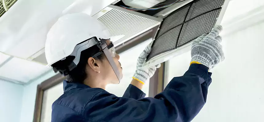 Our Mold & Mildew Removal from Air Ducts Services in LaGrange, GA