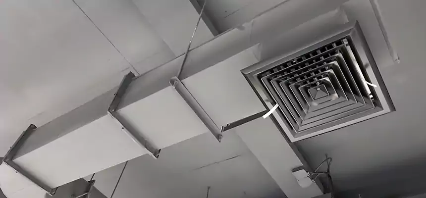 Our Pest Removal From Ducts Services in LaGrange, GA