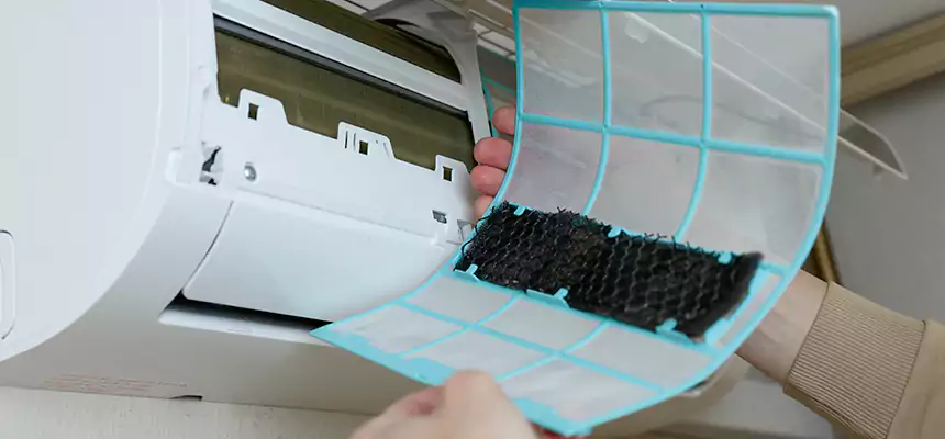 Gentle Ductwork Odor-Control Pet Dander Duct Cleaning in LaGrange, GA