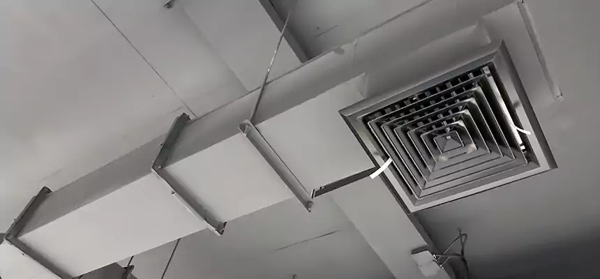 Our Rodent Droppings In Vents Services in LaGrange, GA