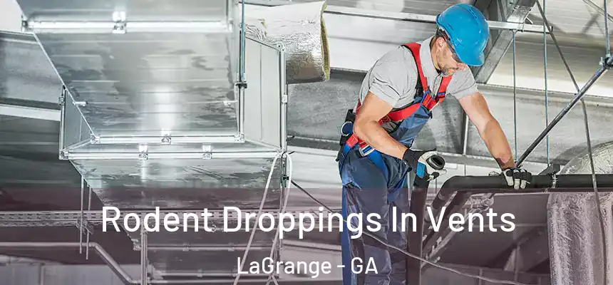 Rodent Droppings In Vents LaGrange - GA