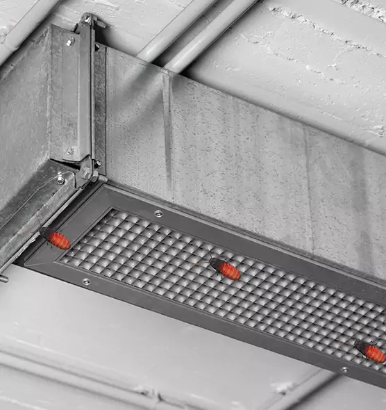 About Air Duct Cockroach Removal in LaGrange, GA
