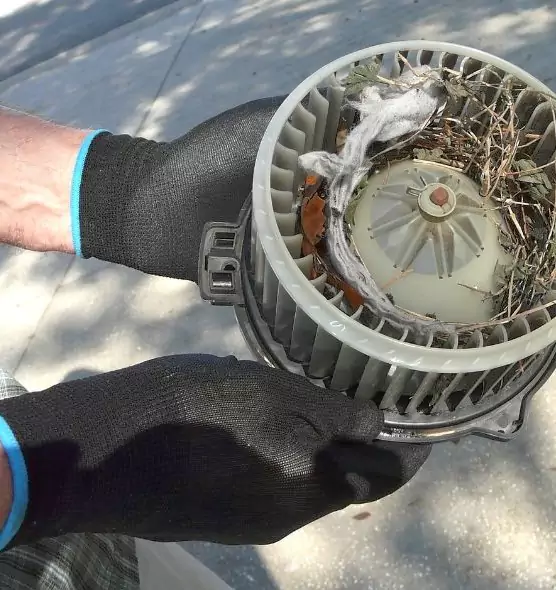 About Air Duct Rat Removal in LaGrange, GA