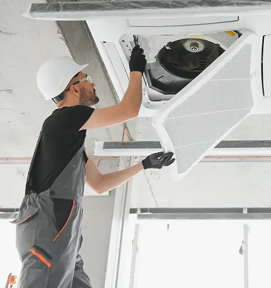 About Air Duct Rodent Removal in LaGrange, GA