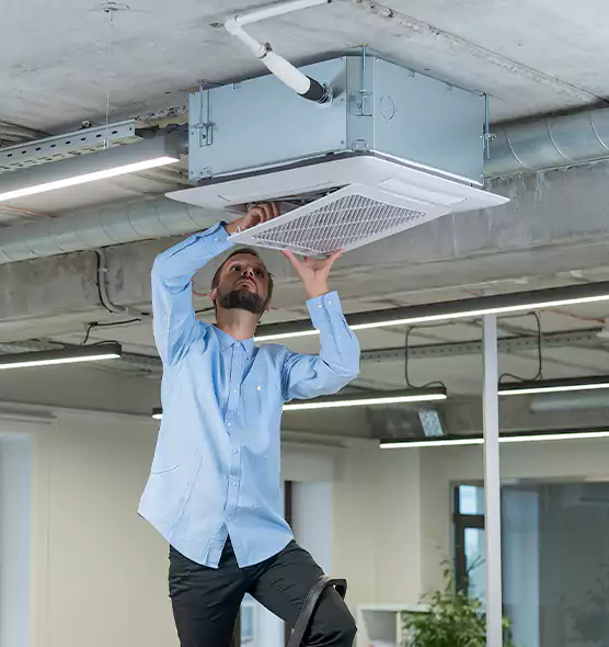 Advanced Rodent Droppings In Vents in LaGrange, GA